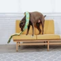 Игрушка-пищалка Outward Hound для собак Змея LG (oh32067): Производитель Outward Hound