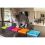 Коврик для медленного питания кошек LickiMat CAT CATSTER GREEN (9349785008414): Тип Лизательные коврики