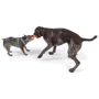 Игрушка для собак West Paw Rumpus Medium Tangerine/Румпус средний оранжевый 16 см (ZG081TNG) фото 3