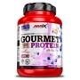 Протеин Amix Gourmet Protein 1000 g / 33 servings / Blueberry-Yogurt