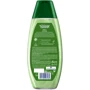 Schwarzkopf Schauma Nature Moments Shampoo 400 ml Шампунь Смузи для нормальных и слегка сухих волос Киви и Огурец: Пол Для женщин