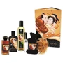 Подарочный набор Shunga Sweet Kisses Kit