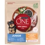 Сухой корм Purina ONE mini Junior для щенков мелких пород с курицей и рисом 8х800г (12469986): Тип Сухой корм