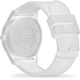 Наручные часы Ice-Watch 018391: Механизм Кварцевый