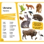 100 слів про тварин світу / 100 words about animals of the World. Фотокнижка-шукалка: Производитель Сова