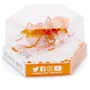 Нано-робот HEXBUG Micro Ant в ас. (помаранчевий): Колір оранжевый
