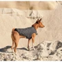 Жилет Pet Fashion E.Vest серый XS-2 (4823082424368): Размер XS-2
