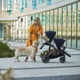 Прогулочный блок Cybex Gazelle S TPE Deep Black фото 8