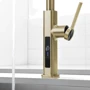 Смеситель для кухни Lefton Waterfall & Pull-Out Kitchen Faucet with Temperature Display-KF2209 Brushed Gold: Вид монтажа Врезной