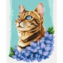 Картина по номерам Brushme Лазурный котик © Anna Kuly 40х50 см (BS53584)