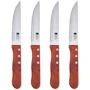 Набір кухонних ножів Bergner Bbq lovers для стейків 4 ін. (BG-40201-MM)						