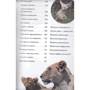 Энциклопедия от А до Я. Животные: ISBN 978-5-389-09483-3