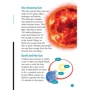 Oxford Read and Discover 6: All About Space: ISBN 9780194645607, 978-0-19-464560-7