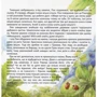 Якоб Штрайт: Гном на ймення Пок: Количество страниц 84