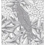 За леопардом в джунгли. Арт-терапия. Раскраски-антистресс: ISBN 978-5-699-86001-2