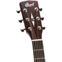 Гитара CORT (Preamp for MR600F): Размер Полноразмерная
