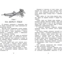 Эрнест Д'Эрвильи. Приключения доисторического мальчика: Автор Эрнест Д'Эрвильи
