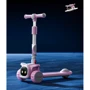 Самокат трехколесный Skyper (RD-1028): Количество колес 3