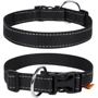 Ошейник Collar Dog Extremе 20 мм 25-40 см Черный (4820082493271): Производитель Collar