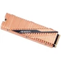 GIGABYTE AORUS Gen4 500 GB M.2 NVMe (GP-ASM2NE6500GTTD): Интерфейс подключения M.2 (PCI-E)