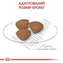 Сухой корм для щенков Royal Canin Puppy Mini мелких пород 8 кг (30000801): Порода Малые