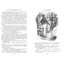 Александр Дюма: Граф Монте-Кристо (в 2-х томах) (иллюстр. С. Гудечека и В. Черны): Обложка Твердая