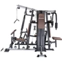 Фитнес станция inSPORTline Profigym C300 з витягом (20764): Тип конструкции стационарный