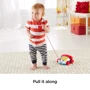 Іграшка-каталка Fisher-Price Веселий телефон (FGW66): Стать Для мальчиков, Для девочек
