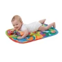 Розвиваючий килимок Playgro Зоопарк з подушечкою (0186988) фото 9