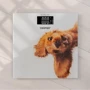 Весы напольные Zelmer Crazy dog ZBS1010