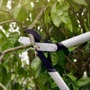 Сучкорез контактный Fiskars PowerGear L (1020189): Тип веткорезы