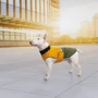 Попона Pet Fashion ROY хаки-горчица 6XL (4823082432806) фото 6