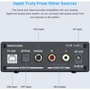 Fosi Audio SPDIF/Coaxial на RCA/3.5/6.35 DAC-Q5 Black: Входи USB, optical coaxial S/PDIF