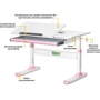 Комплект S ErgoKids TH-310 Pink парта + тумба (TH-310 + BD C3_PINK): Возраст ребенка от 5-ти лет