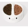 Смарт кормушка CATLINK RFID Pet Feeder - Standard (6972884750965): Материал Пластик
