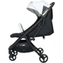 Прогулочная коляска FreeON SOLO Pistachio-Black (44398): Ширина шасси 46