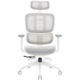 Офісне крісло OfficePro Skyline (OC750-W-LG-LG): Максимальне навантаження, кг 120