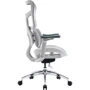 Офисное кресло Sihoo DORO S100 Mesh White (S100-M302)