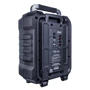 Акустическая система Maximum Acoustics MobiCUBE.60: Диаметр динамика 8"