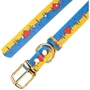 Нашийник шкіряний HiDog "Життя", розмір XL (ширина 30мм, обхват шиї 42-56см) (205/1033): Тип Обычные