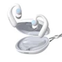 Наушники QCY T15 White: Тип конструкции вкладыши