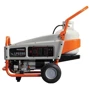 Генератор GENERAC LP3250: Тип запуска ручной