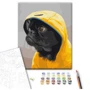 Картина по номерам Brushme Мопс в худи 40x50 см (BS52614): Производитель Brushme