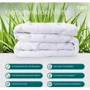 Одеяло ТЕП Природа Membrana Print Aloe Vera 180х210 см (2000008645669): Наполнитель волокно с экстрактом Aloe Vera