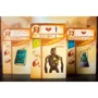 Настольная игра Red Raven Games Near and Far - EN НА АНГЛИЙСКОМ ЯЗЫКЕ