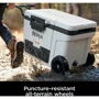Термобокс Ninja FrostVault 42L Hard Cooler FB245EUWH: Вага 14 кг