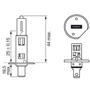 Галогенная автолампа Bosch H1 Xenon Blue 12V 55W (1987301011): Производитель Bosch