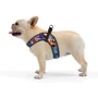 Шлея HiDog Comfort USA 46-52 см L разноцветная (139\1017) фото 5