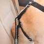 Ремень Kurgo Direct to Seatbelt Tether для собак к автомобильному ремню безопасности 2 шт (57847): Цвет черный
