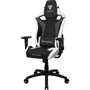 Кресло для геймеров ThunderX3 XC3 All White (XC3_All_White): Регулировки Жесткость качания, Высота поясничной подушки, Высота сиденья, Угол наклона сиденья